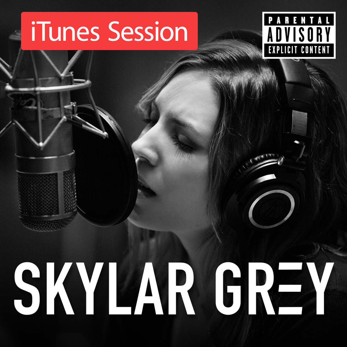 Skylar Grey album picture