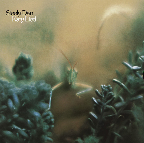 Steely Dan album picture