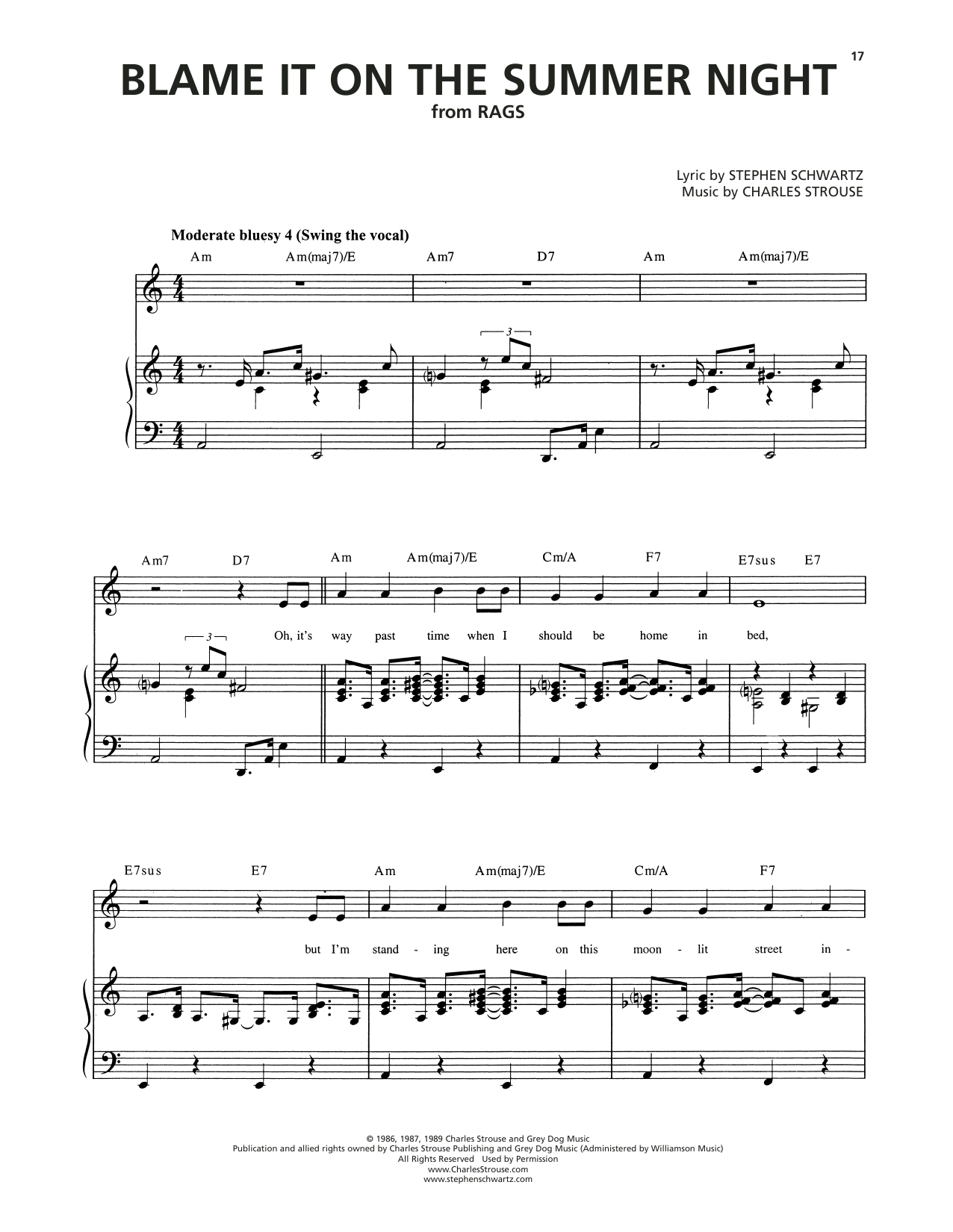 Download Stephen Schwartz Blame It On The Summer Night Sheet Music and learn how to play Piano & Vocal PDF digital score in minutes
