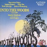 Download or print Stephen Sondheim Giants In The Sky (from Into The Woods) Sheet Music Printable PDF -page score for Musical/Show / arranged Piano & Vocal SKU: 75822.