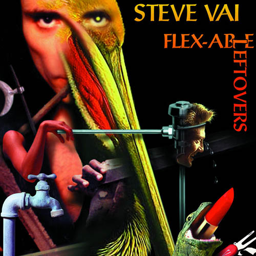 Steve Vai album picture