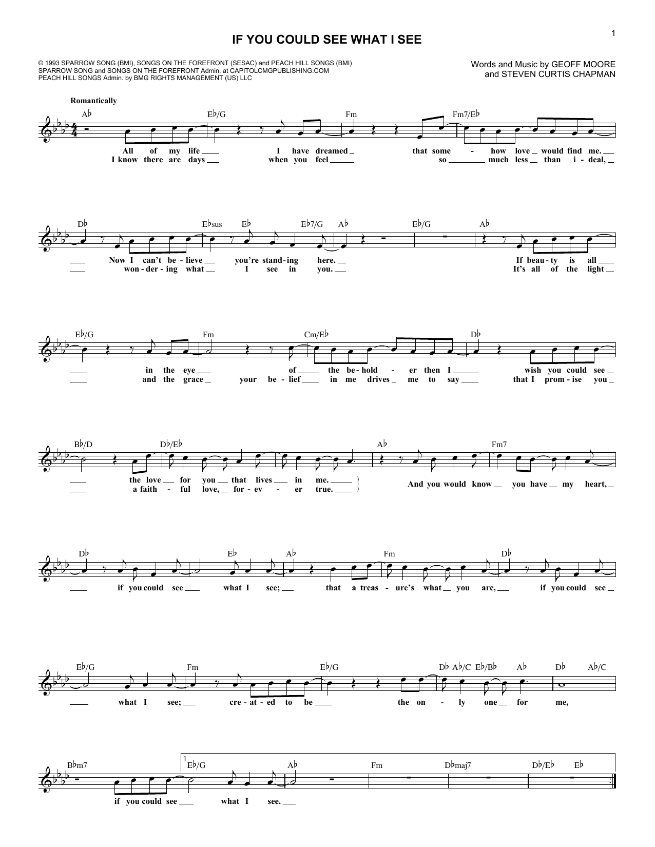 Download Steven Curtis Chapman If You Could See What I See Sheet Music and learn how to play Lead Sheet / Fake Book PDF digital score in minutes