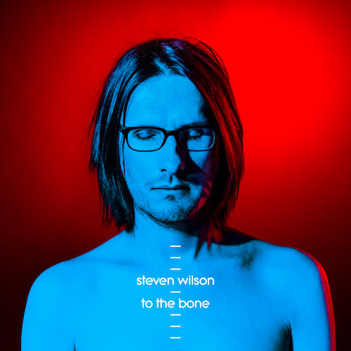 Steven Wilson album picture