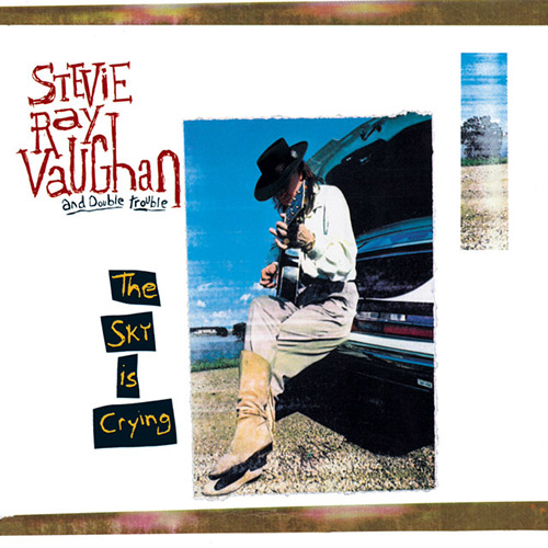 Stevie Ray Vaughan album picture