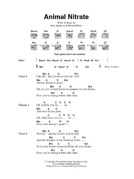 Download Suede Animal Nitrate Sheet Music and learn how to play Lyrics & Chords PDF digital score in minutes