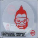 Download or print Super Furry Animals Ice Hockey Hair Sheet Music Printable PDF -page score for Pop / arranged Lyrics & Chords SKU: 45753.