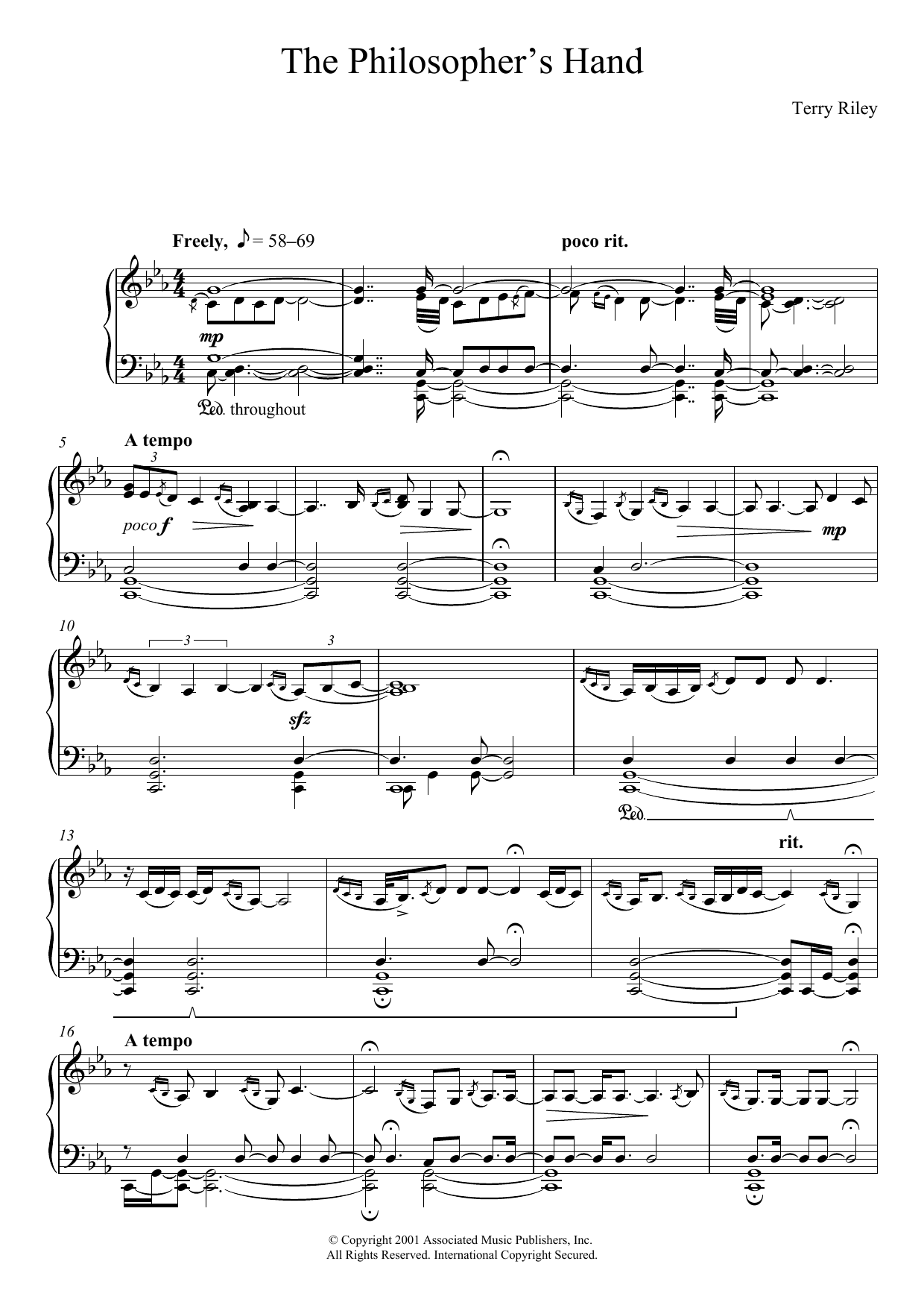 Download Terry Riley The Philosopher's Hand Sheet Music and learn how to play Piano PDF digital score in minutes