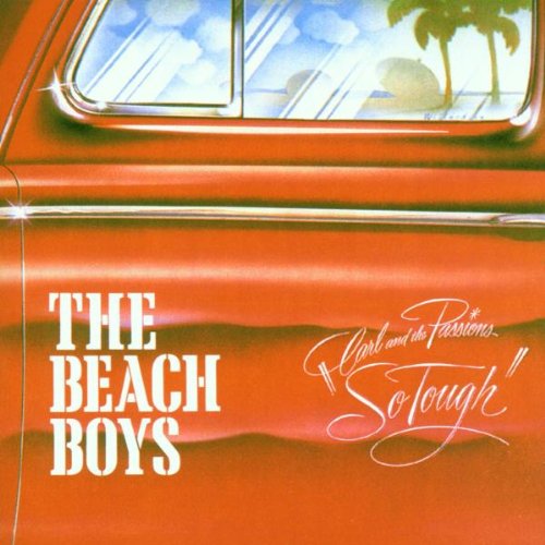 The Beach Boys album picture