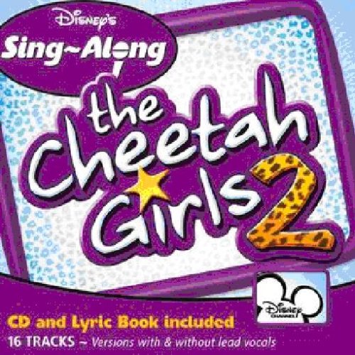 The Cheetah Girls album picture