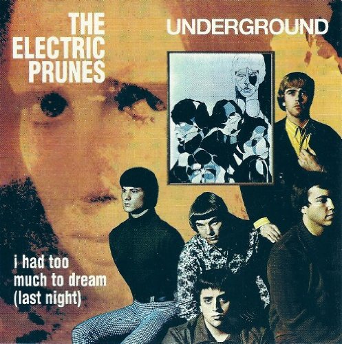 The Electric Prunes album picture