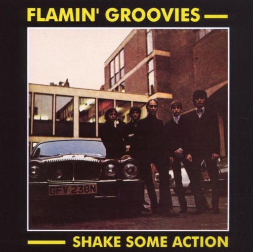 The Flamin' Groovies album picture