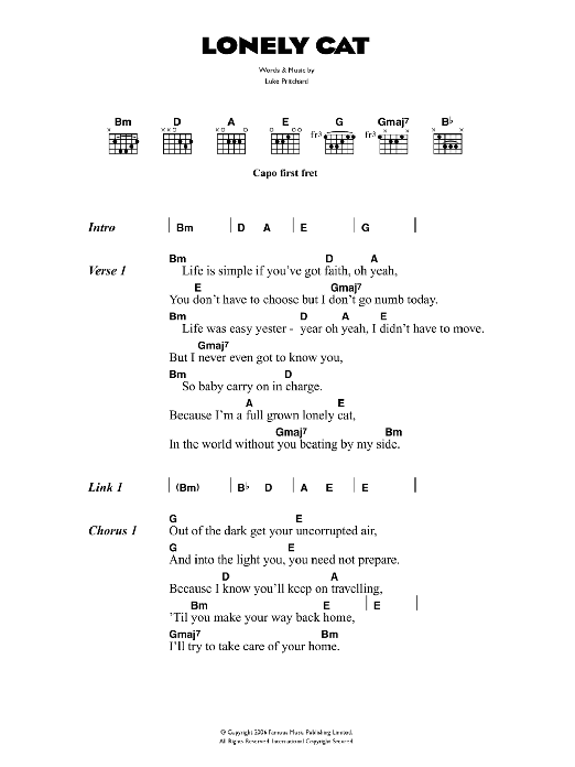 Download The Kooks Lonely Cat Sheet Music and learn how to play Lyrics & Chords PDF digital score in minutes