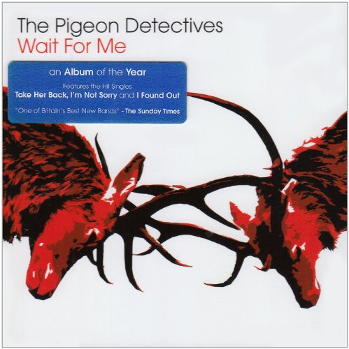 The Pigeon Detectives album picture