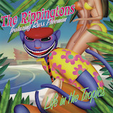 Download or print The Rippingtons Avenida Del Mar Sheet Music Printable PDF -page score for Jazz / arranged Solo Guitar SKU: 1227210.