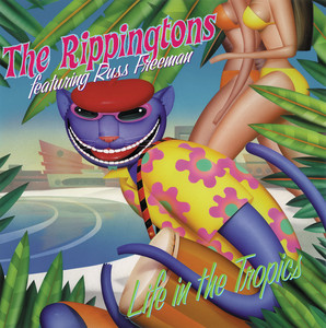 The Rippingtons album picture