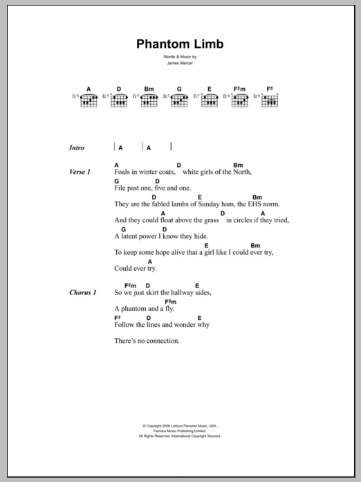 Download The Shins Phantom Limb Sheet Music and learn how to play Lyrics & Chords PDF digital score in minutes