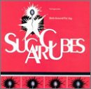 The Sugarcubes album picture