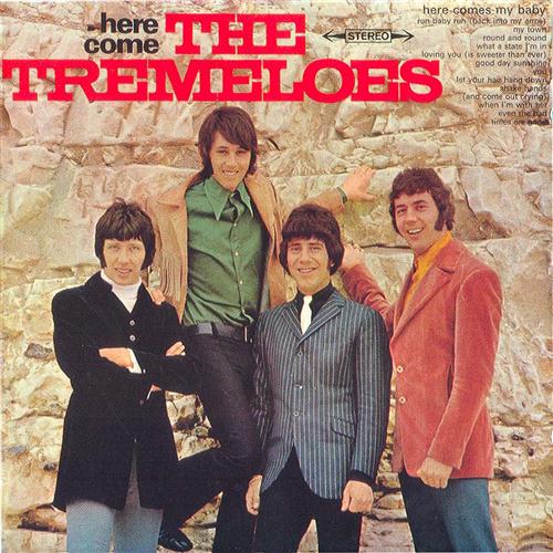 The Tremeloes album picture