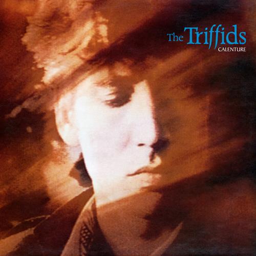 The Triffids album picture