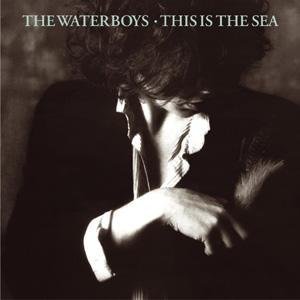 The Waterboys album picture