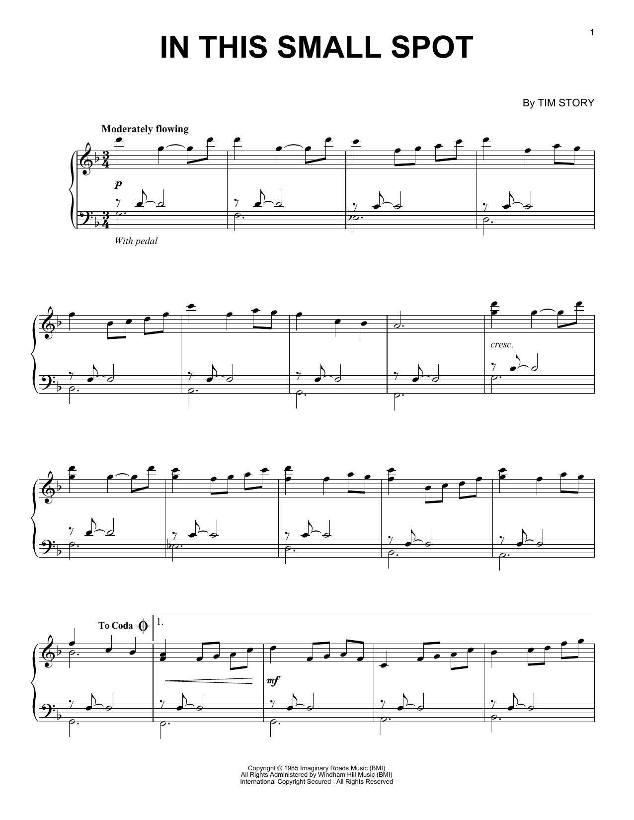 Download Tim Story In This Small Spot Sheet Music and learn how to play Piano Solo PDF digital score in minutes