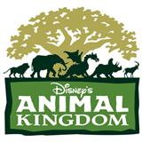 Download or print Tish Eastman Animal Kingdom - Tree Of Life Theme (from Disney's Animal Kingdom Theme Park) Sheet Music Printable PDF -page score for Film and TV / arranged Piano, Vocal & Guitar (Right-Hand Melody) SKU: 23674.