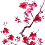 Download or print Trad. Japanese Folk Song Sakura (Cherry Blossoms) Sheet Music Printable PDF -page score for Folk / arranged Ocarina SKU: 253456.