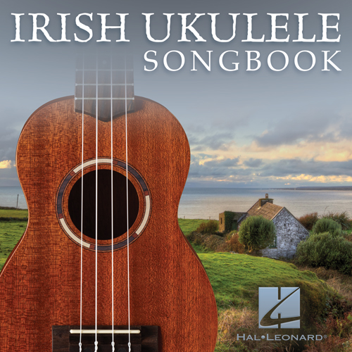 Traditional Irish Folk Song album picture