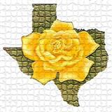 Download or print Traditional The Yellow Rose Of Texas (arr. Michelle Hynson) Sheet Music Printable PDF -page score for Folk / arranged Instrumental Duet SKU: 1632811.