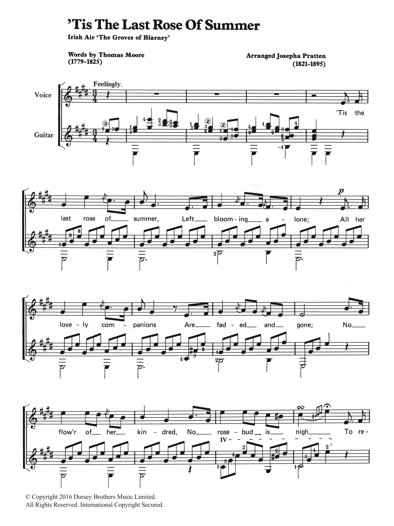 Download Traditional 'Tis The Last Rose Of Summer Sheet Music and learn how to play Easy Piano PDF digital score in minutes