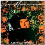 Download or print Van Morrison A Sense Of Wonder Sheet Music Printable PDF -page score for Soul / arranged Piano, Vocal & Guitar SKU: 33199.