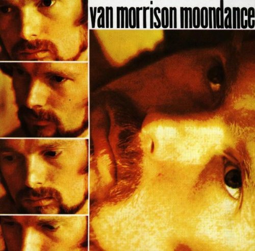 Van Morrison album picture