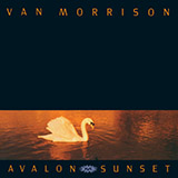 Download or print Van Morrison Have I Told You Lately Sheet Music Printable PDF -page score for Rock / arranged Keyboard SKU: 44514.