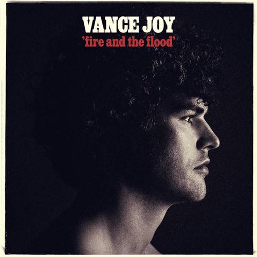 Vance Joy album picture