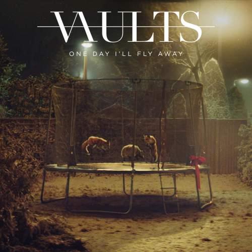 Vaults album picture