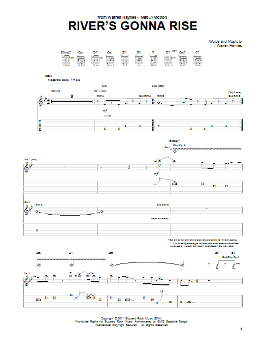 Download Warren Haynes River's Gonna Rise Sheet Music and learn how to play Guitar Tab PDF digital score in minutes