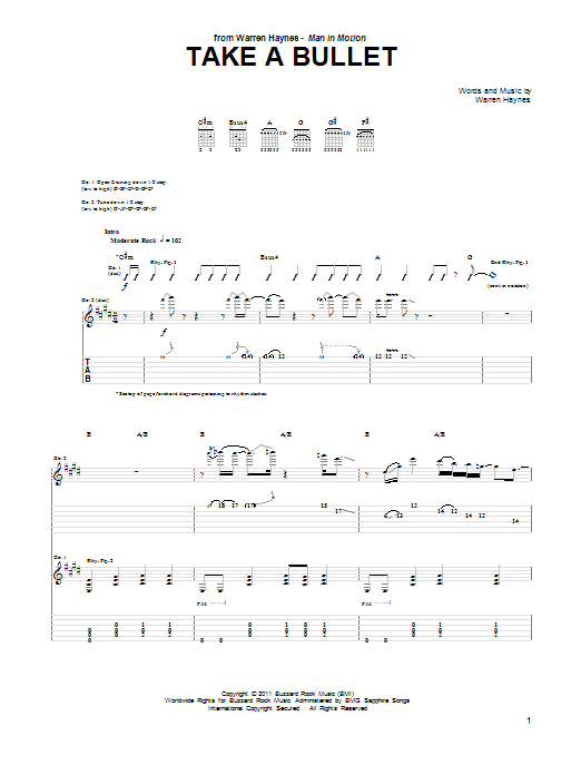 Download Warren Haynes Take A Bullet Sheet Music and learn how to play Guitar Tab PDF digital score in minutes