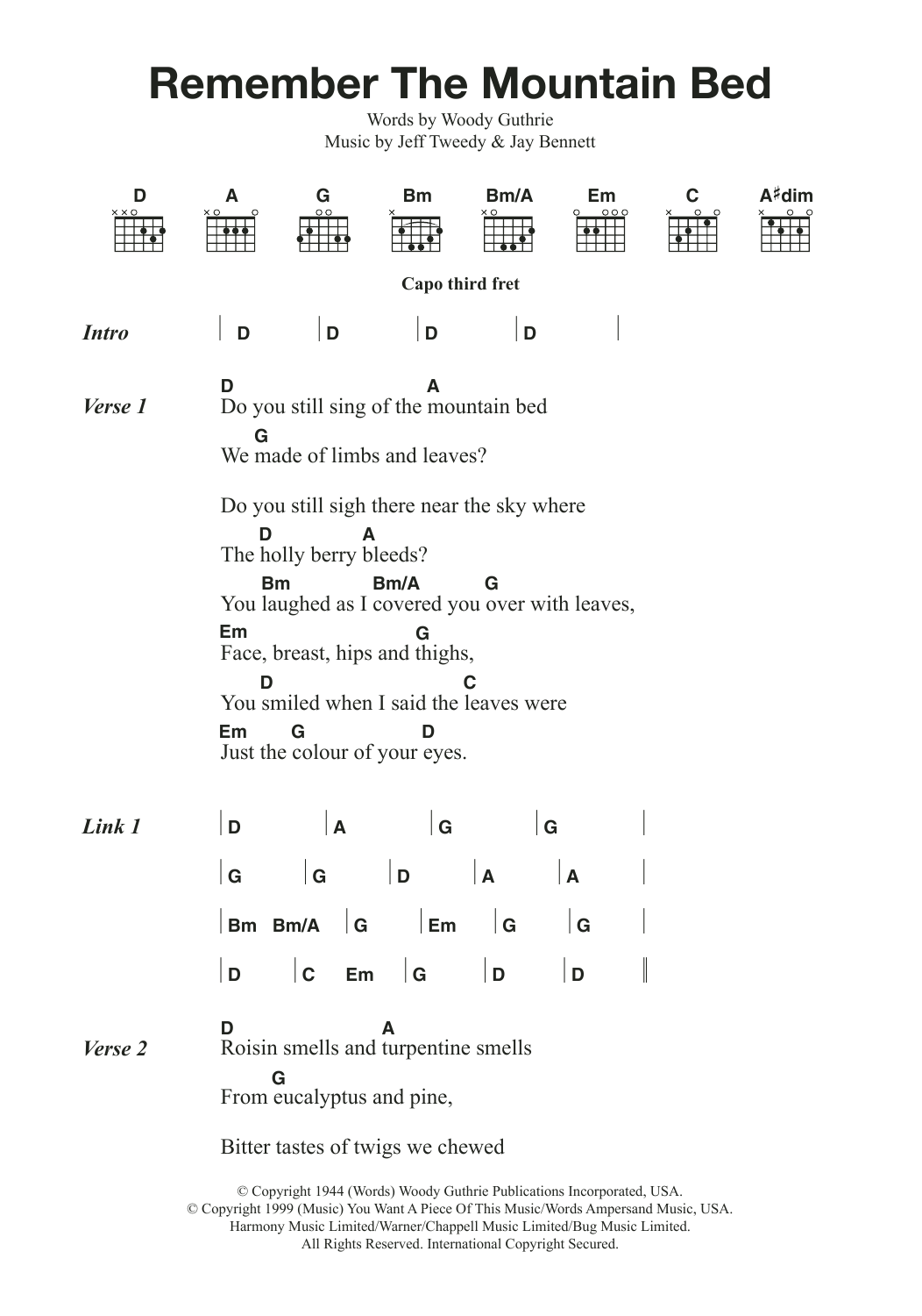 Download Wilco & Billy Bragg Remember The Mountain Bed Sheet Music and learn how to play Lyrics & Chords PDF digital score in minutes