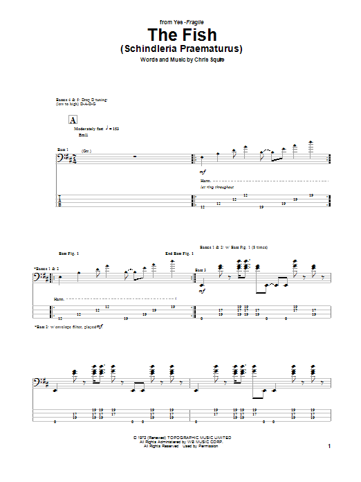 Download Yes The Fish (Schindleria Praematurus) Sheet Music and learn how to play Bass Guitar Tab PDF digital score in minutes