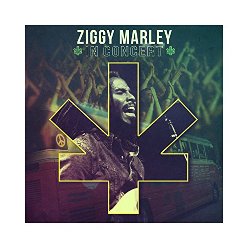 Ziggy Marley album picture