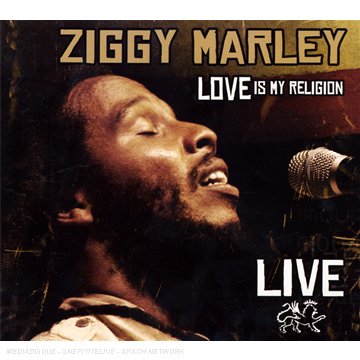 Ziggy Marley album picture